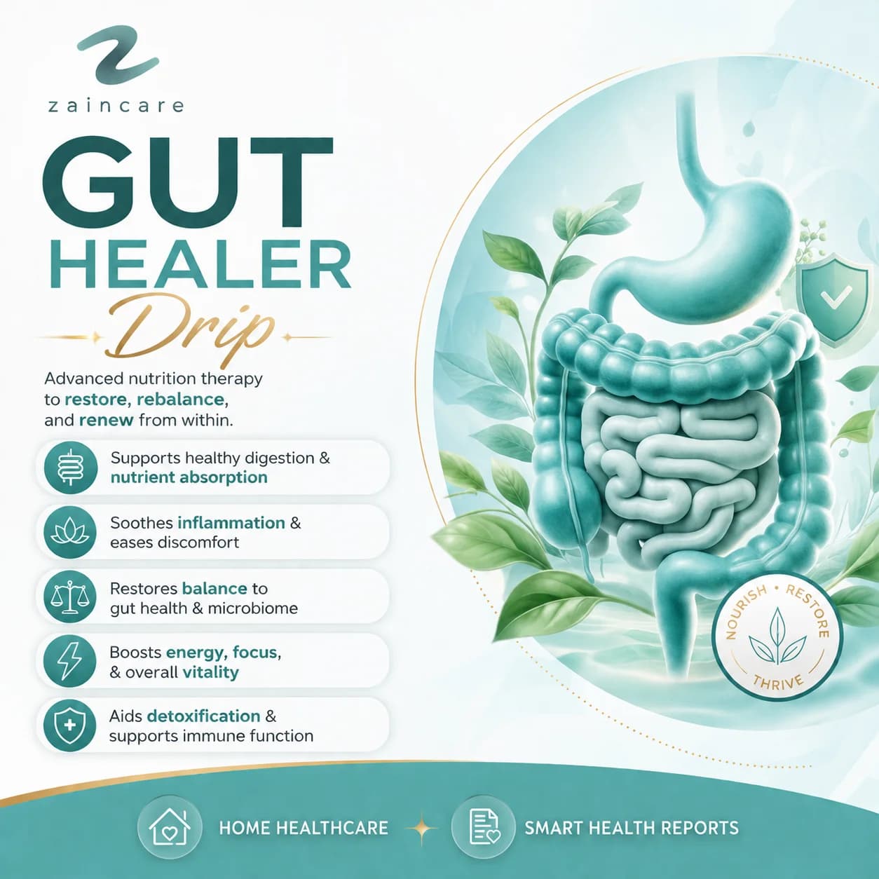 Gut Healer Drip